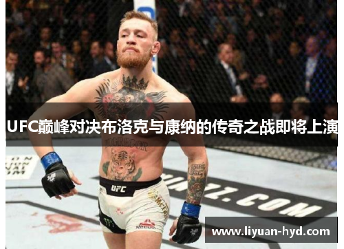 UFC巅峰对决布洛克与康纳的传奇之战即将上演